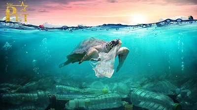 انباشت زباله اقیانوس: علل و 6 راه حل برای جلوگیری از آن